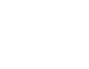 Wootton Wellness Logo